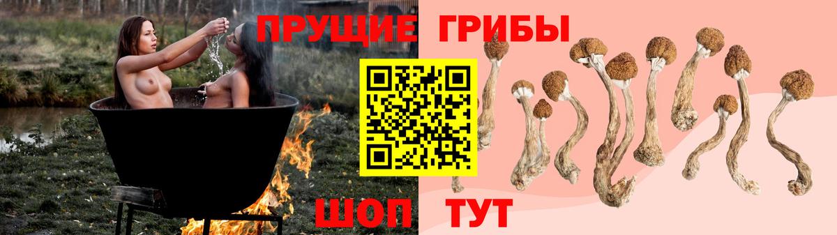 Псилоцибиновые грибы мухоморы  Вход с VPN  Каспийск 